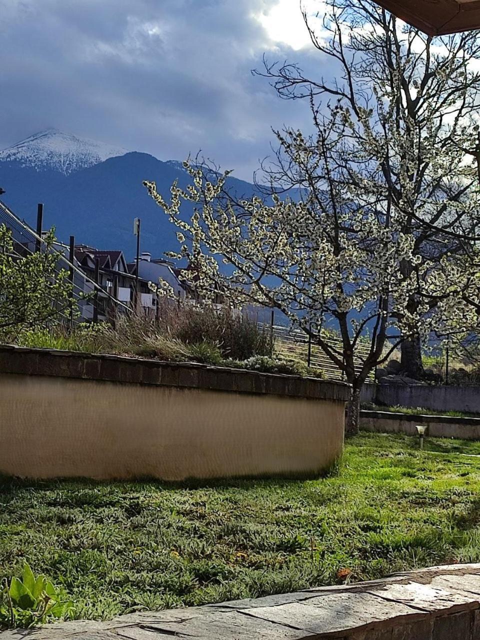 Belvedere Holiday Club Spa&Ski Private Apartments Bansko Dış mekan fotoğraf